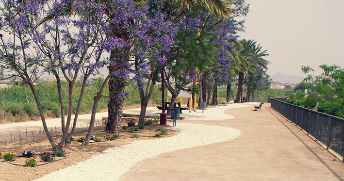 Mirador Mota del Rio